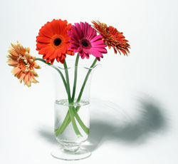 The Fresh Flower Market at Cremer Florist in Hanover, PA.