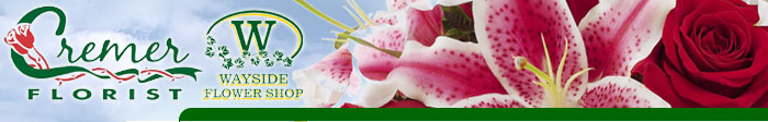 Cremer Florist. Located at 219 East Walnut Street in Hanover, Pennsylvania (PA.) Call 800-553-7761 or 717-637-6621.Offering fresh flowers delivered daily to Hanover, Pennsylvania (PA) and the surrounding areas.