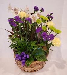 Dish Garden with Fresh Flowers in Handled Basket