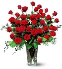 3 Dozen Roses Vased