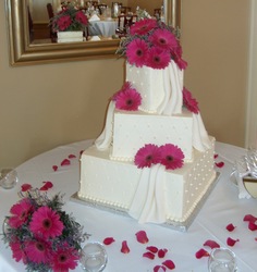 Gerbera Daisies Square Cake