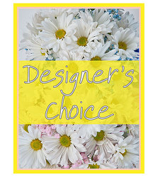 Designer's Choice - New Baby 