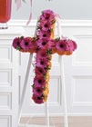 Gerbera Daisy Cross 