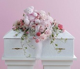 Pink Infant Casket Spray with Plush 