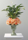 Spathiphyllum Plant in Urn with Rose Wreath 