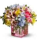 Spring Sweetness