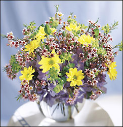 Fresh as a Daisy Bouquet