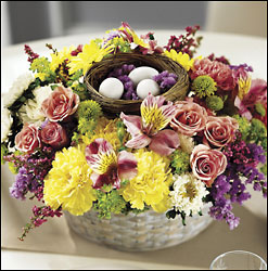 Spring Delights