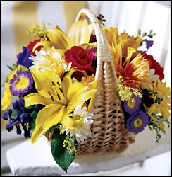 Garden Basket