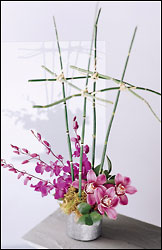 Poetic Boxed Bouquet
