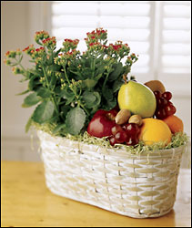Fruits & Flowers