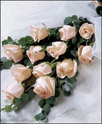 Delightful Dozen