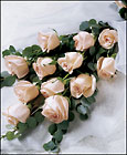 Delightful Dozen