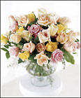 Display Of Affection Arrangement