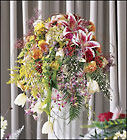 Cascading Rapids Arrangement 