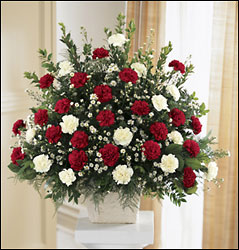 Devotion Arrangement
