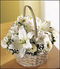 Divinity Basket
