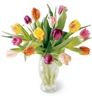Carnival Bouquet