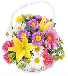 Wish Basket
