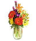 Festival of Color Bouquet