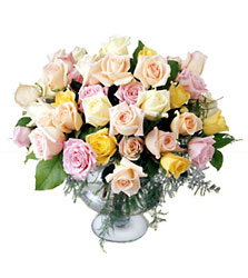 Display Of Affection Arrangement