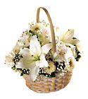 Divinity Basket