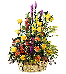 Field of Dreams Arrangement
