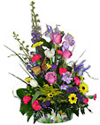 Garden for Mom