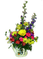 Spring Surprise