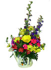 Spring Surprise