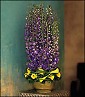 Distinguished Delphinium