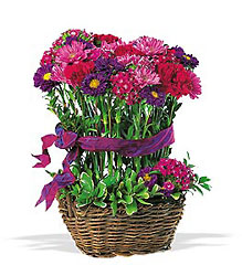 Basket of Smiles