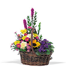 Basket of Glory