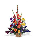 Rainbow Basket