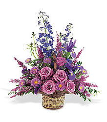 Gentle Comfort Basket