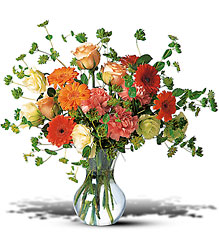 Blossoming Orange