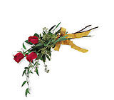 Touch of Red Roses 