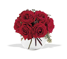 Gathering of Roses