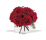Gathering of Roses