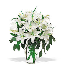 Perfect White Lilies