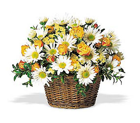Joyful Roses and Daisies