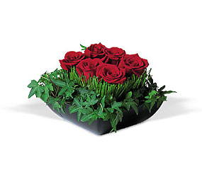 Simply Roses