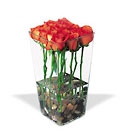 Red Roses with River Rocks