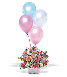 Balloon Basket