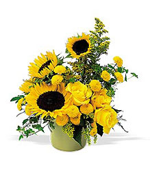 A Pot of Sunflowers