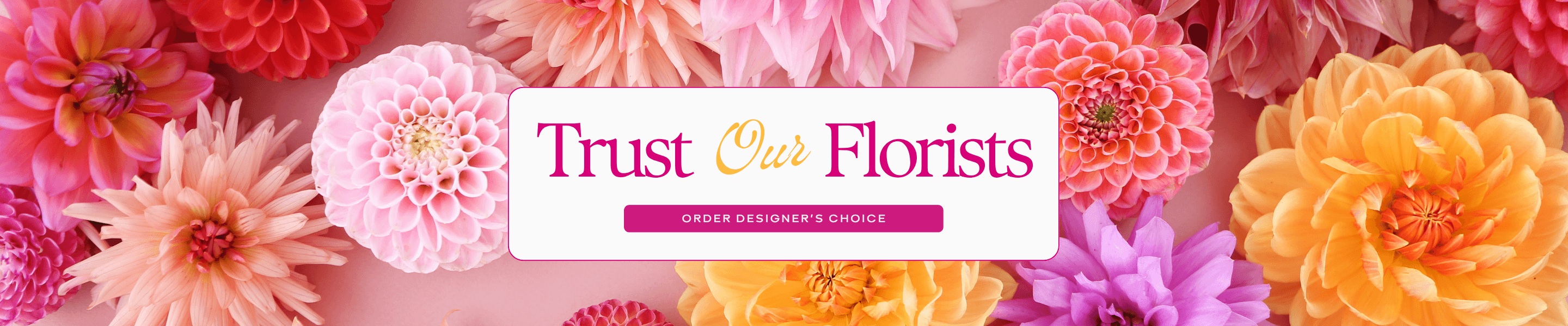 Trust Our Experts. Click here to order Designer's Choice.