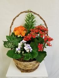 Blooming Garden Basket 