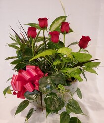 Dish Garden in Ceramic with Roses