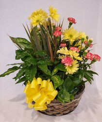 Dish Garden in Basket with Fresh Flowers