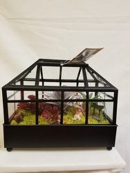 Wardian Case Terrarium 